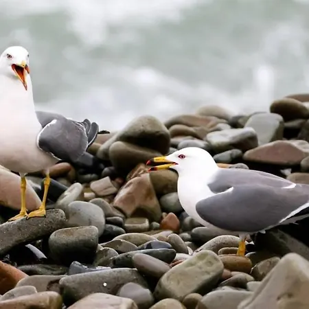 La Veules - Domaine Du Presbytère Avec Local à Vélo *